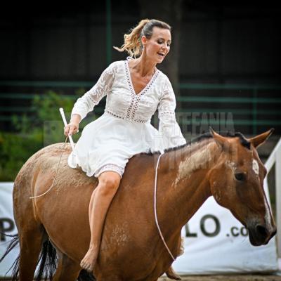 Equitación y adiestramiento